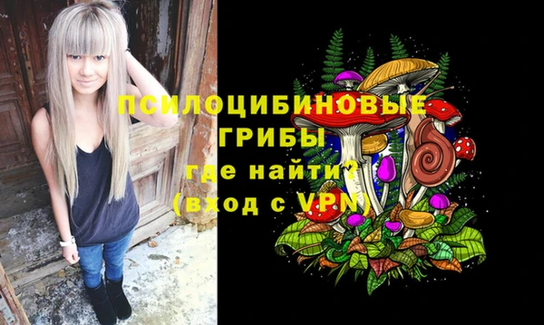 а пвп мука Бугульма